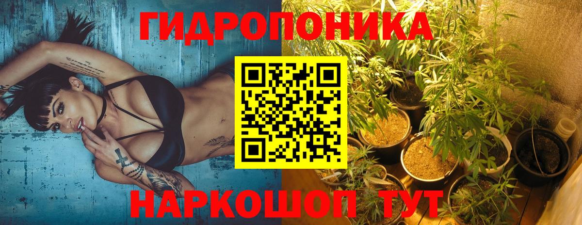 Шишки марихуана марихуана Балашов